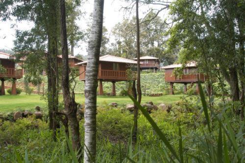 Quinta Das Eiras Santo Antonio da Serra Екстер'єр фото