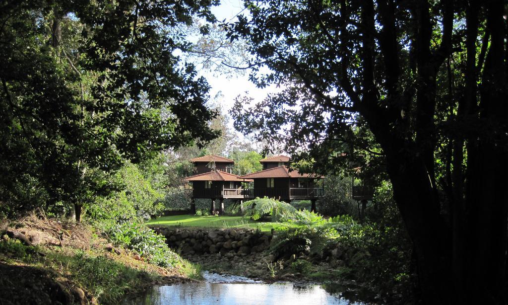 Quinta Das Eiras Santo Antonio da Serra Екстер'єр фото