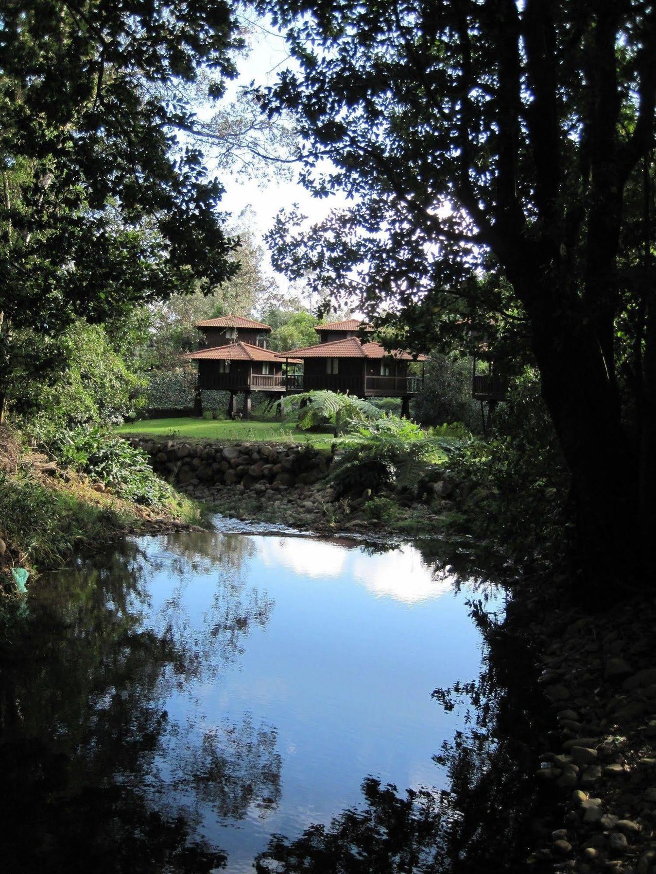 Quinta Das Eiras Santo Antonio da Serra Екстер'єр фото
