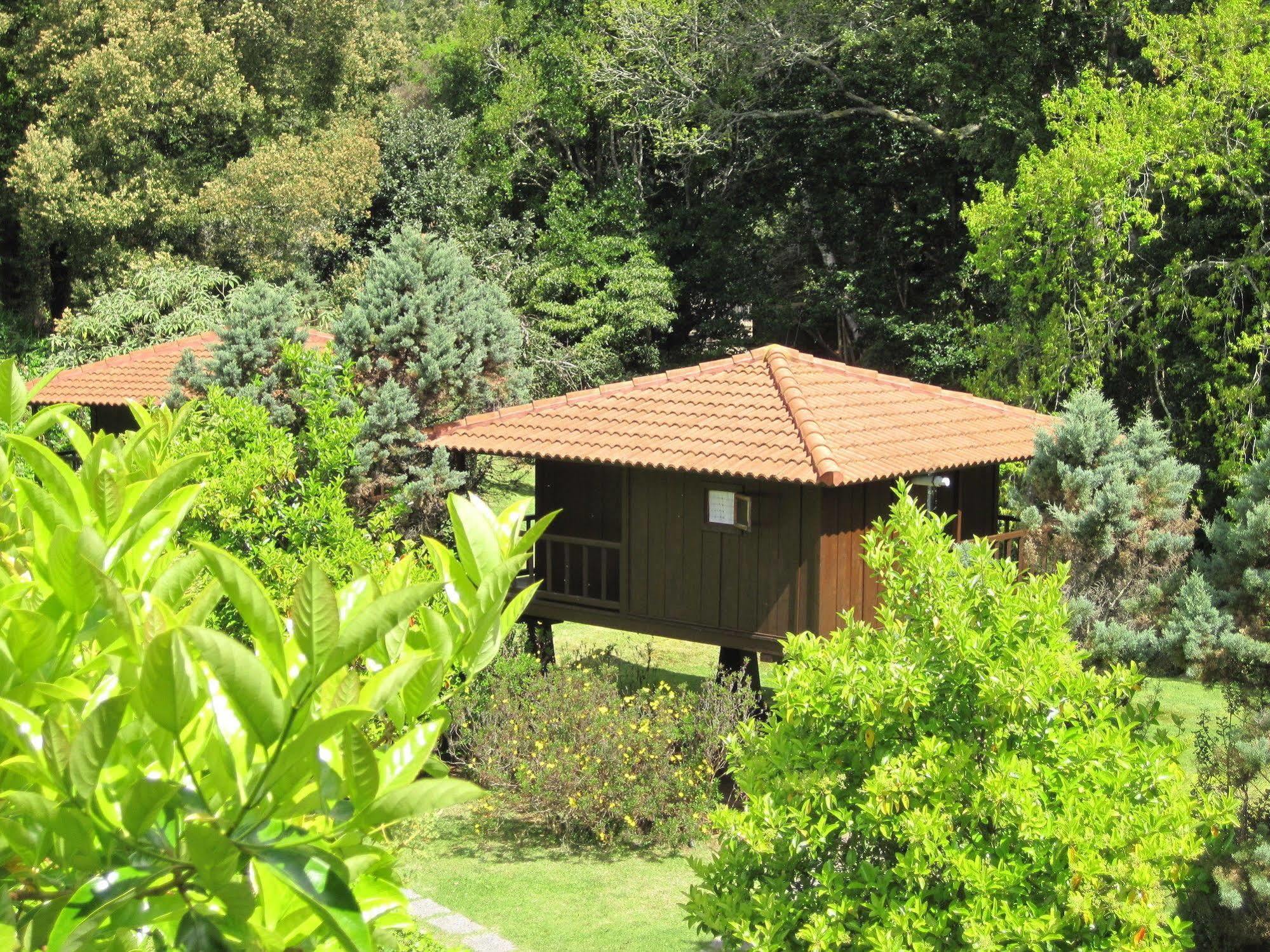 Quinta Das Eiras Santo Antonio da Serra Екстер'єр фото