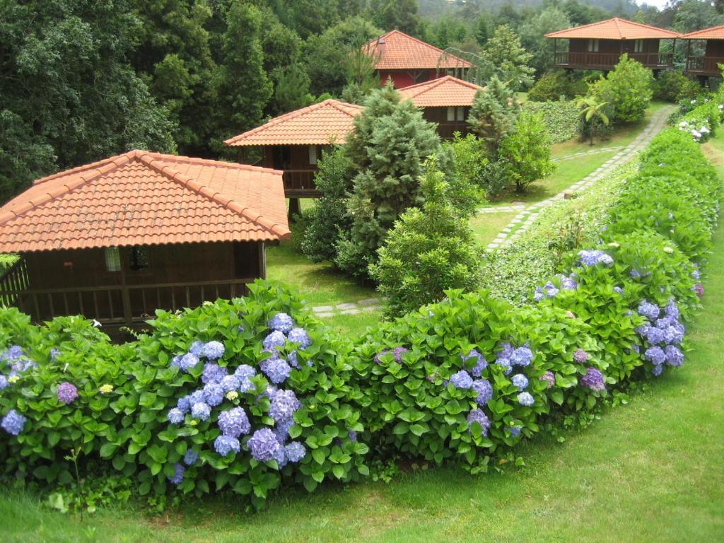 Quinta Das Eiras Santo Antonio da Serra Екстер'єр фото